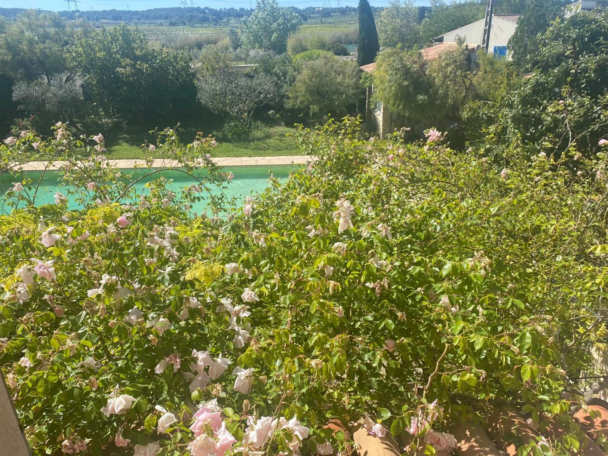 Le Mas Des Oliviers Martigues Exterior foto